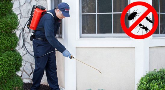 Doğanlar Bit İlaçlama böcek ilaçlama ve haşere kontrolü — ilaclama-tr.com